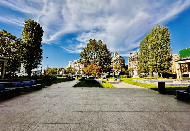 Studio in Bucharest - Cozy Downton Studio Studio in Bucharest - Cozy Downton Studio