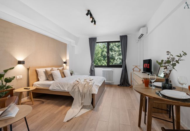 Studio in Bucharest - Cozy Downton Studio Studio in Bucharest - Cozy Downton Studio