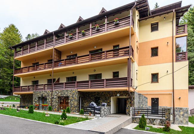 Apartment in Predeal - Apartament TYANA in Predeal Apartment in Predeal - Apartament TYANA in Predeal