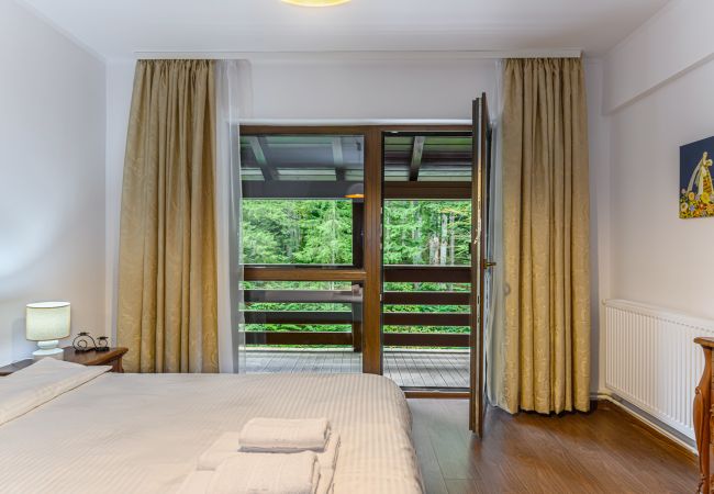 Apartment in Predeal - Apartament TYANA in Predeal Apartment in Predeal - Apartament TYANA in Predeal