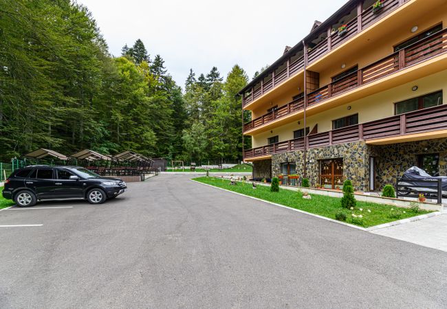 Apartment in Predeal - Apartament TYANA in Predeal Apartment in Predeal - Apartament TYANA in Predeal