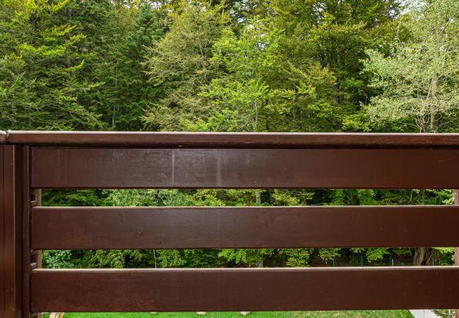 Apartment in Predeal - Apartament TYANA in Predeal Apartment in Predeal - Apartament TYANA in Predeal