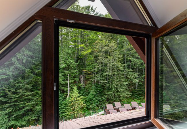 Apartment in Predeal - Apartament TYANA in Predeal Apartment in Predeal - Apartament TYANA in Predeal