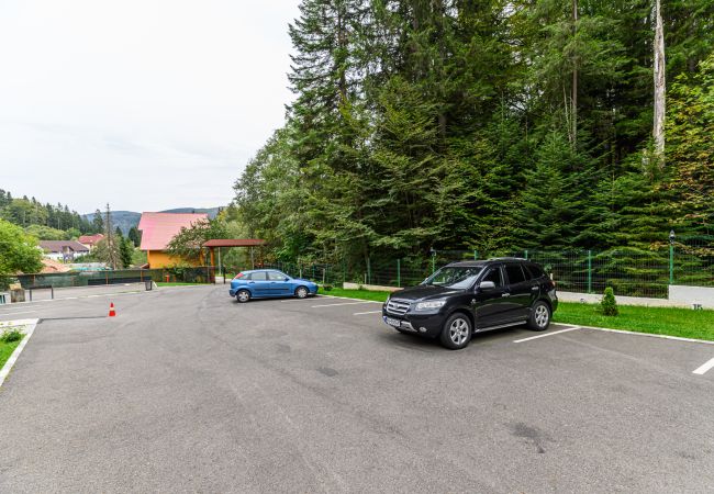 Apartment in Predeal - Apartament TYANA in Predeal Apartment in Predeal - Apartament TYANA in Predeal