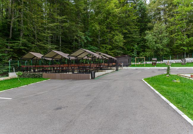 Apartment in Predeal - Apartament TYANA in Predeal Apartment in Predeal - Apartament TYANA in Predeal