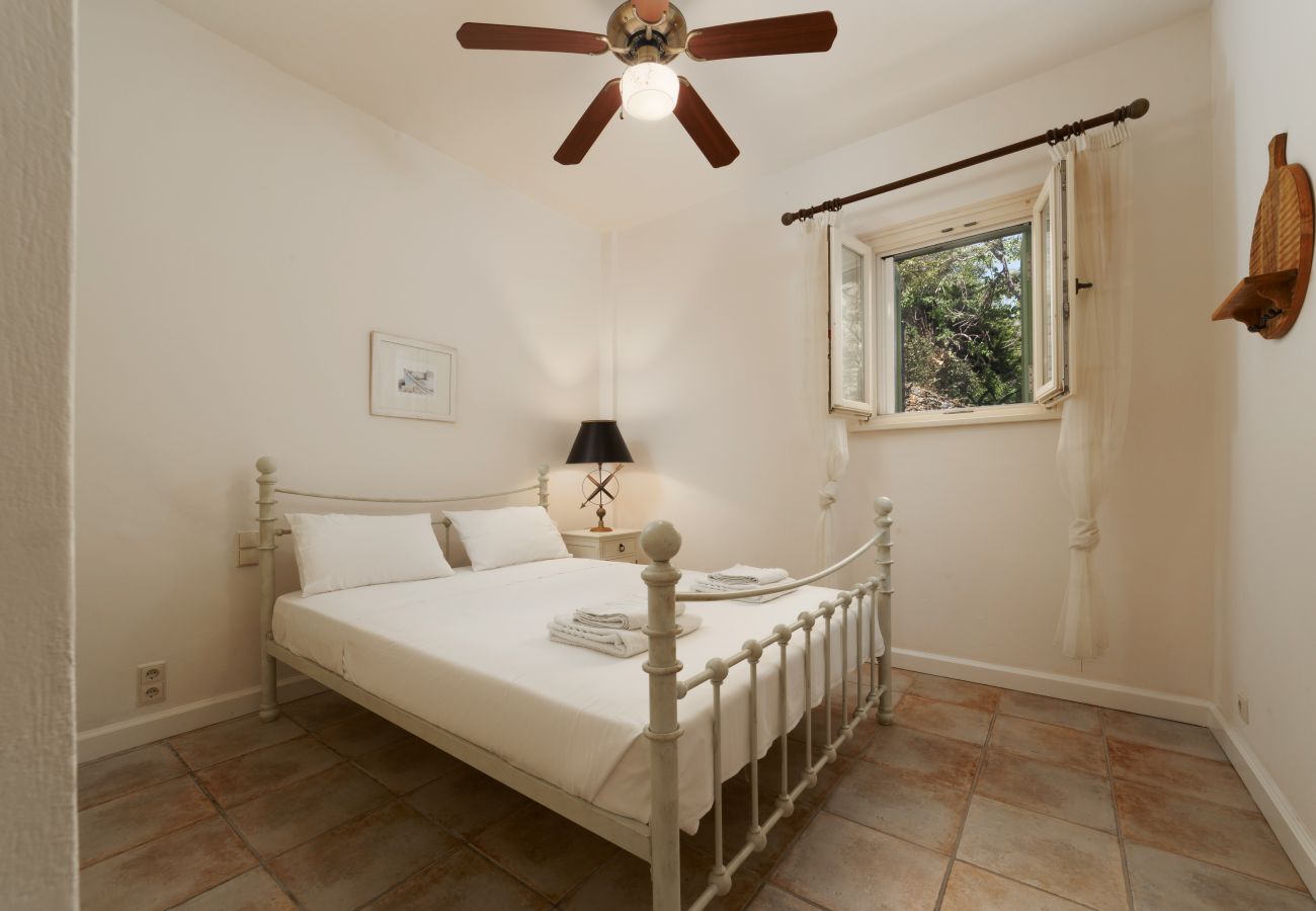 Villa in Andros - Entire Beachfront villa in Andros 
