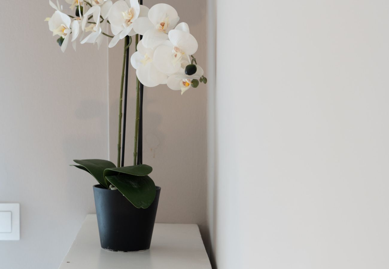 Apartment in Athens - Vasileos Georgiou B 51