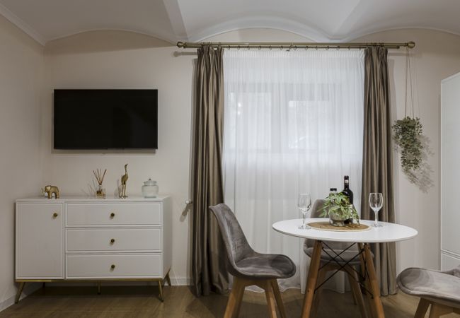Studio in Timisoara - Old Town Heritage Studio Studio in Timisoara - Old Town Heritage Studio