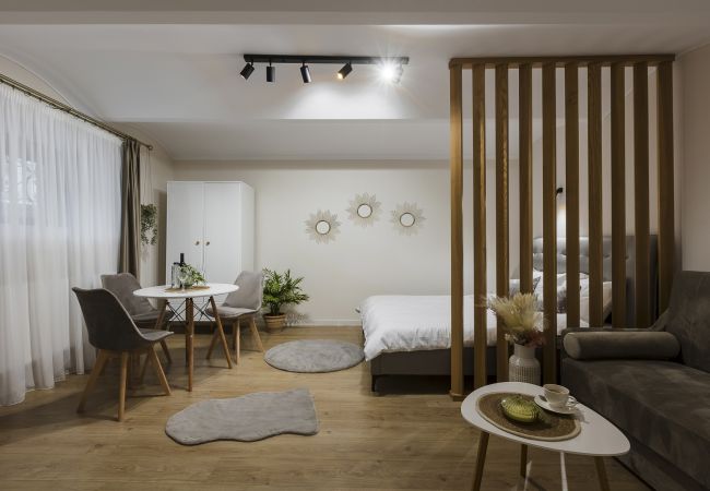 Studio in Timisoara - Old Town Heritage Studio Studio in Timisoara - Old Town Heritage Studio