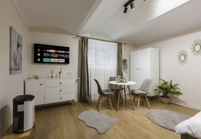 Studio in Timisoara - Old Town Heritage Studio Studio in Timisoara - Old Town Heritage Studio