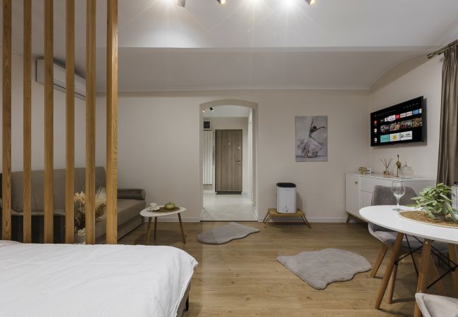 Studio in Timisoara - Old Town Heritage Studio Studio in Timisoara - Old Town Heritage Studio