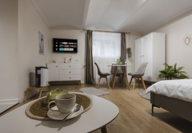 Studio in Timisoara - Old Town Heritage Studio Studio in Timisoara - Old Town Heritage Studio