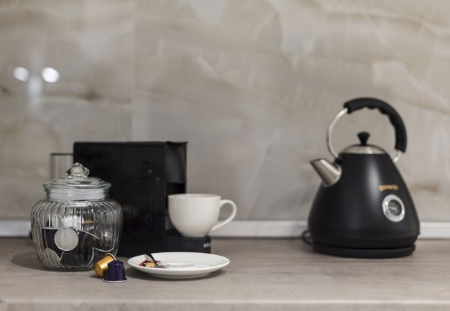 Studio in Timisoara - Old Town Heritage Studio Studio in Timisoara - Old Town Heritage Studio