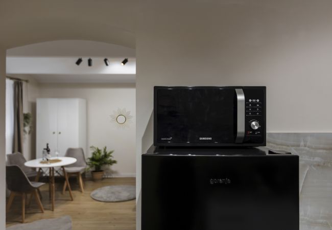 Studio in Timisoara - Old Town Heritage Studio Studio in Timisoara - Old Town Heritage Studio