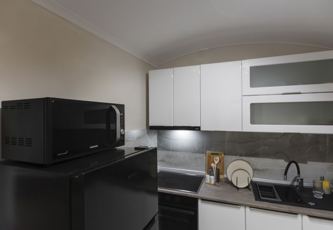 Studio in Timisoara - Old Town Heritage Studio Studio in Timisoara - Old Town Heritage Studio