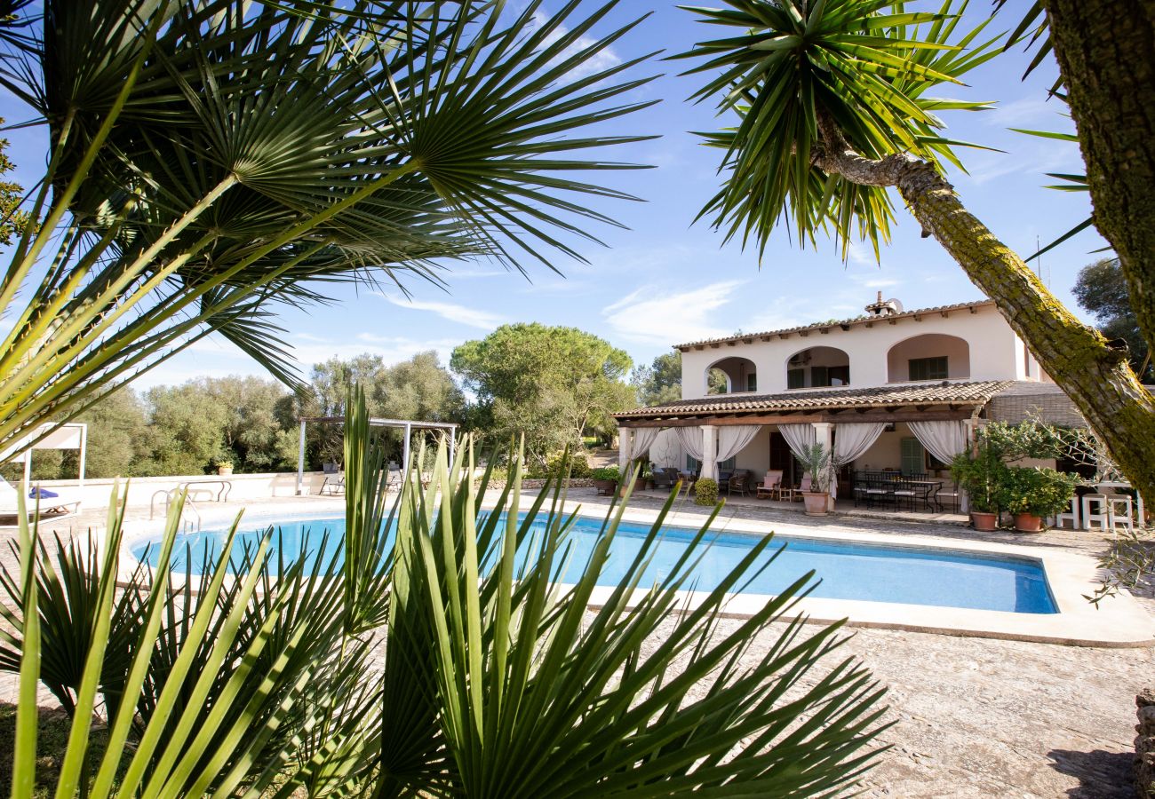Villa in Ariany - YourHouse Son Bachs