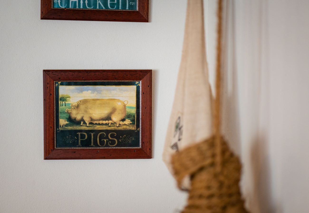 Villa in Ariany - YourHouse Son Bachs