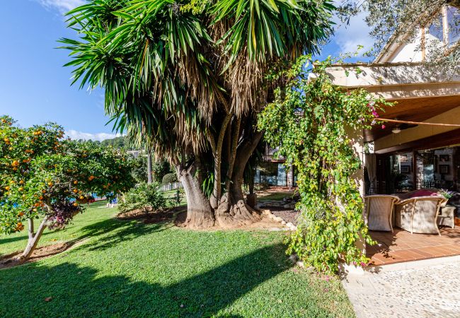 Villa in Lloseta - YourHouse Tramontana Villa in Lloseta - YourHouse Tramontana