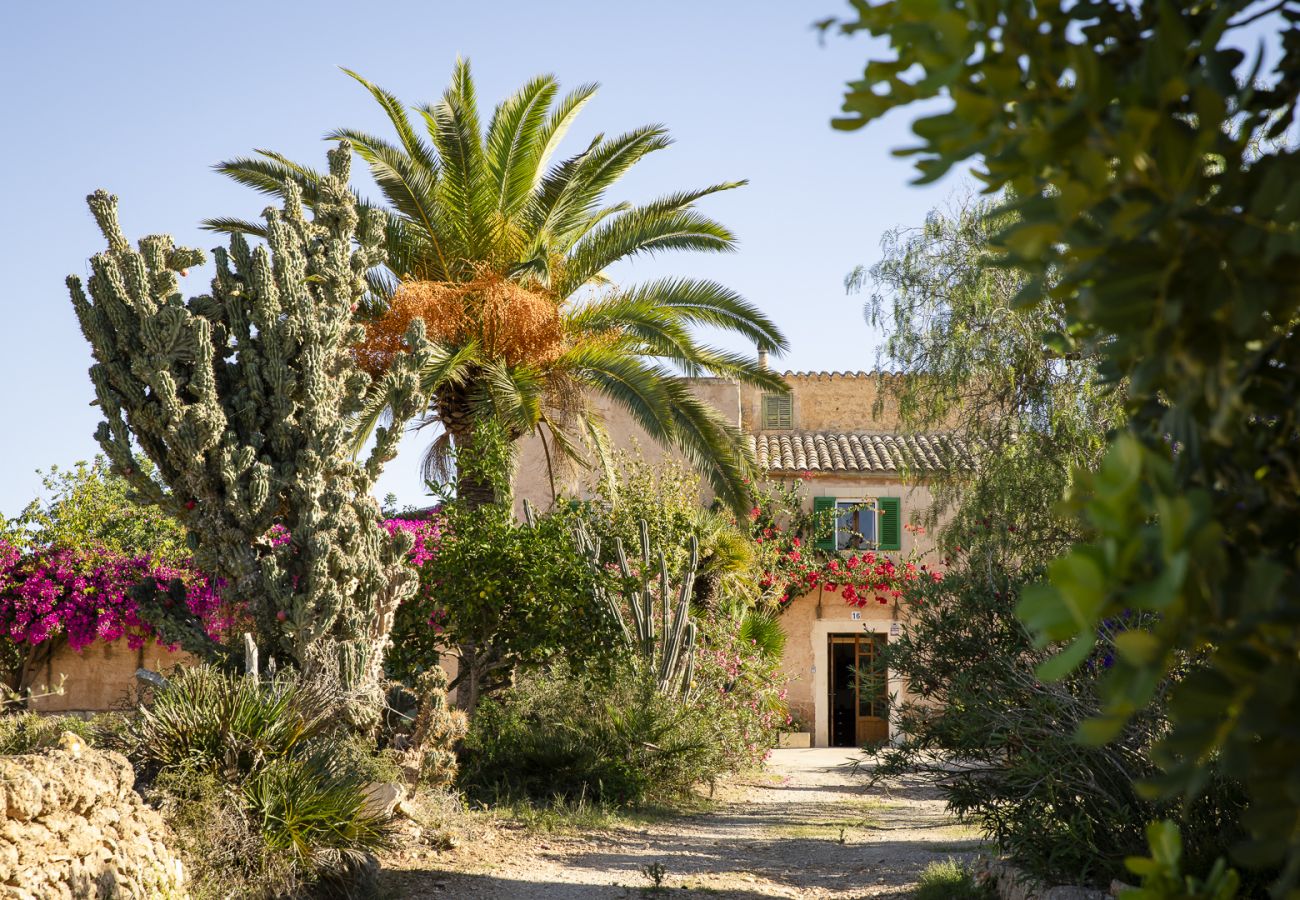 Villa in Felanitx - YourHouse Can Tries Villa in Felanitx - YourHouse Can Tries