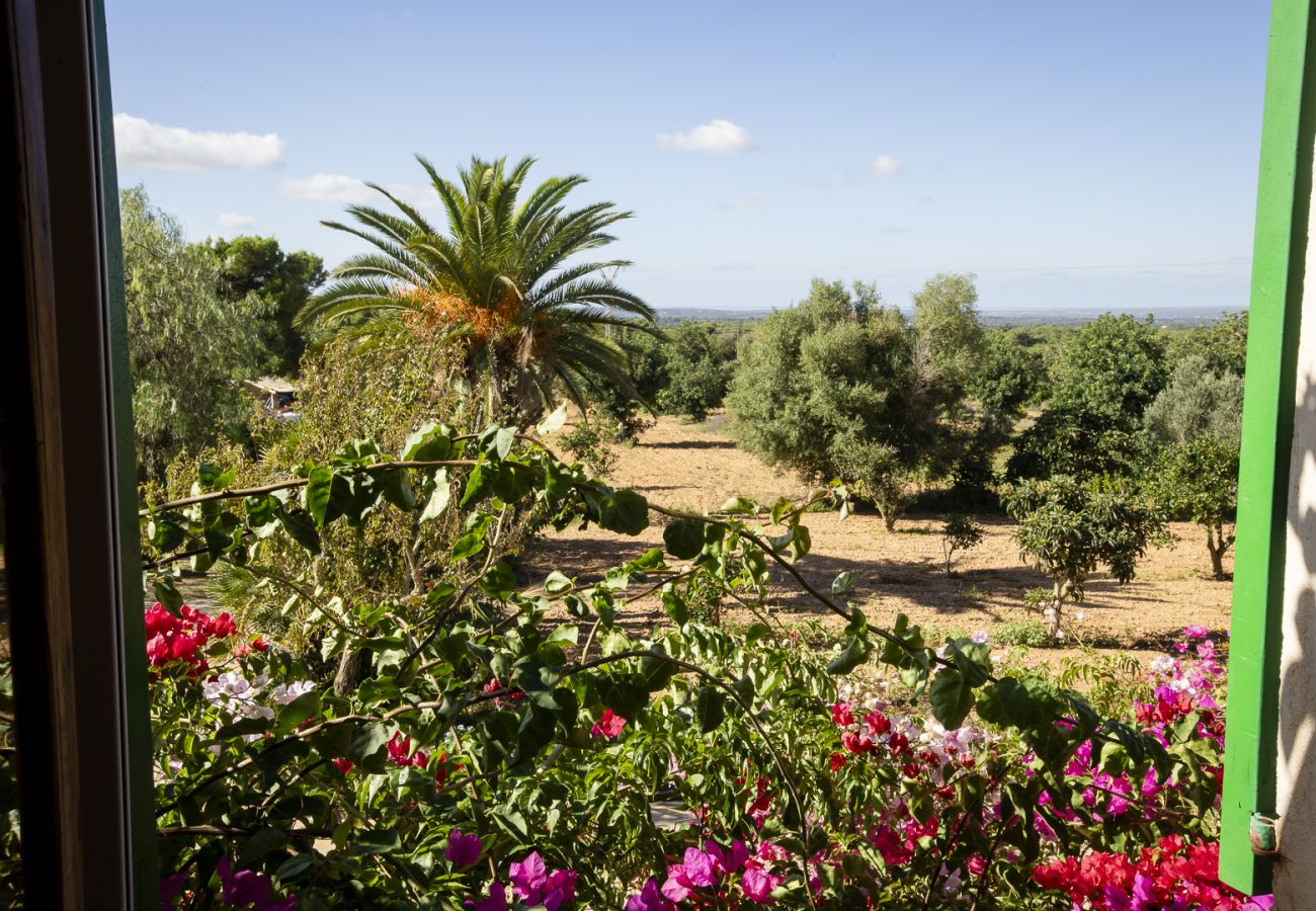 Villa in Felanitx - YourHouse Can Tries Villa with private pool