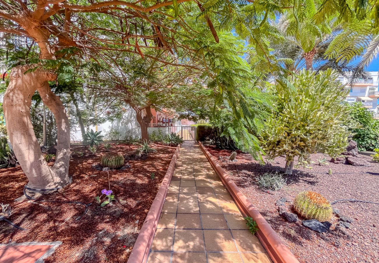 Apartment in Playa del Ingles - Lightbooking Tenesor Playa del Ingles center