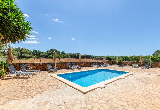 Apartment in Lloret de Vistalegre - YourHouse Agorturismo Can Porretí La Figuera Apartment in Lloret de Vistalegre - YourHouse Agorturismo Can Porretí La Figuera