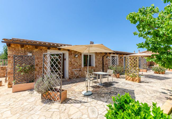 Apartment in Lloret de Vistalegre - YourHouse Agorturismo Can Porretí La Figuera Apartment in Lloret de Vistalegre - YourHouse Agorturismo Can Porretí La Figuera