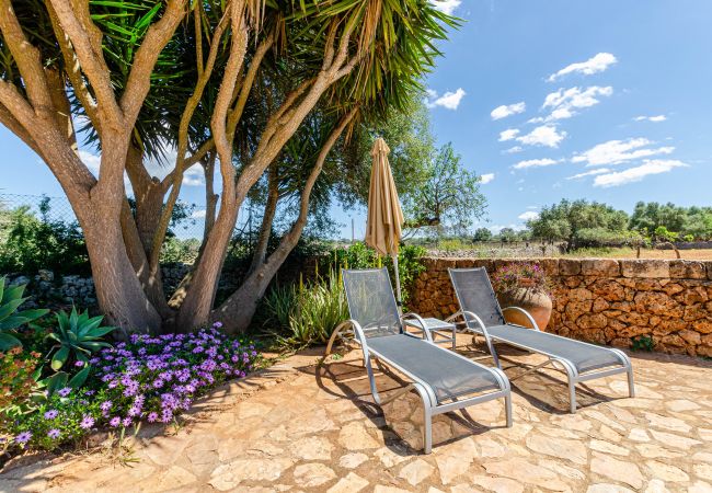 Apartment in Lloret de Vistalegre - YourHouse Agorturismo Can Porretí La Figuera Apartment in Lloret de Vistalegre - YourHouse Agorturismo Can Porretí La Figuera