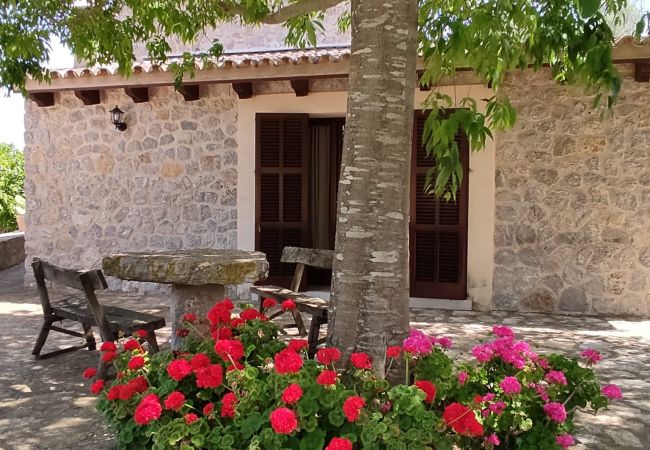 Villa in Arta - YourHouse Son Morey Villa in Arta - YourHouse Son Morey