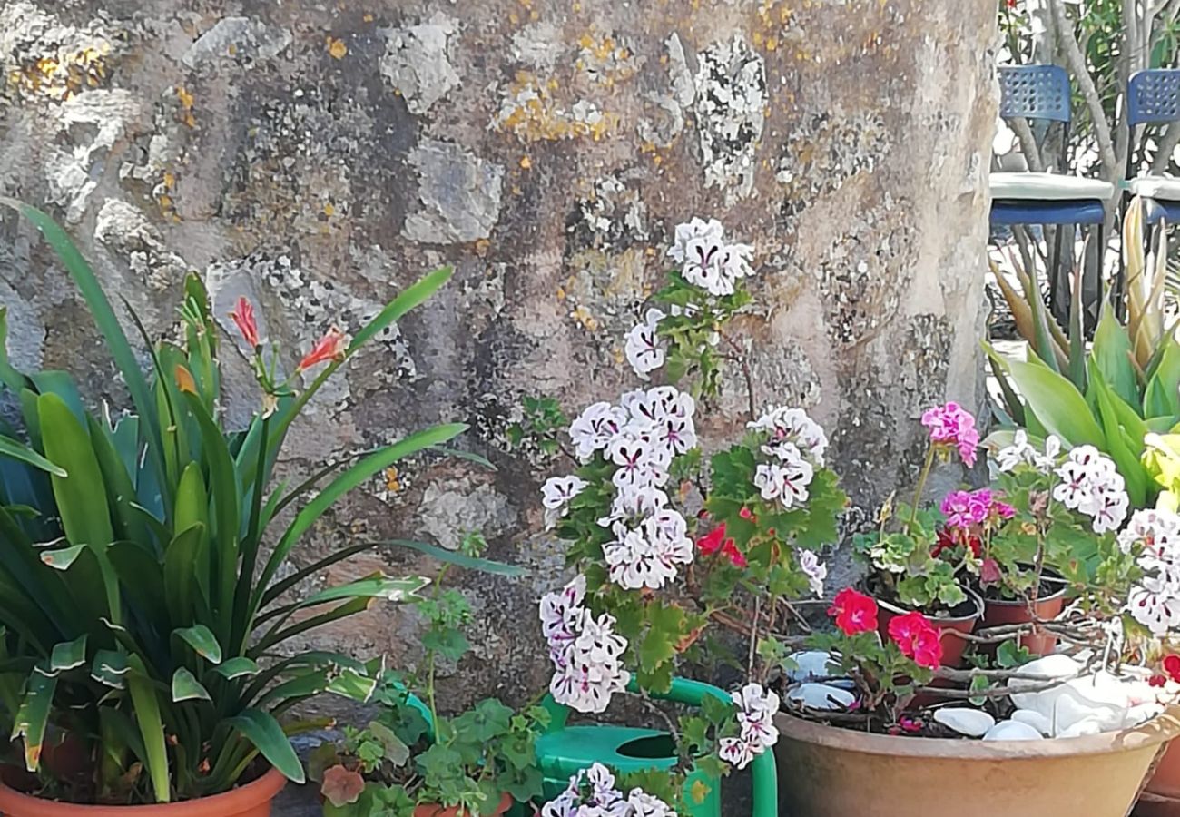 Villa in Arta - YourHouse Son Morey