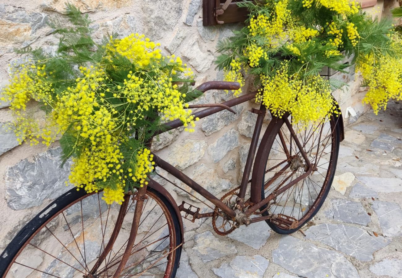 Villa in Arta - YourHouse Son Morey