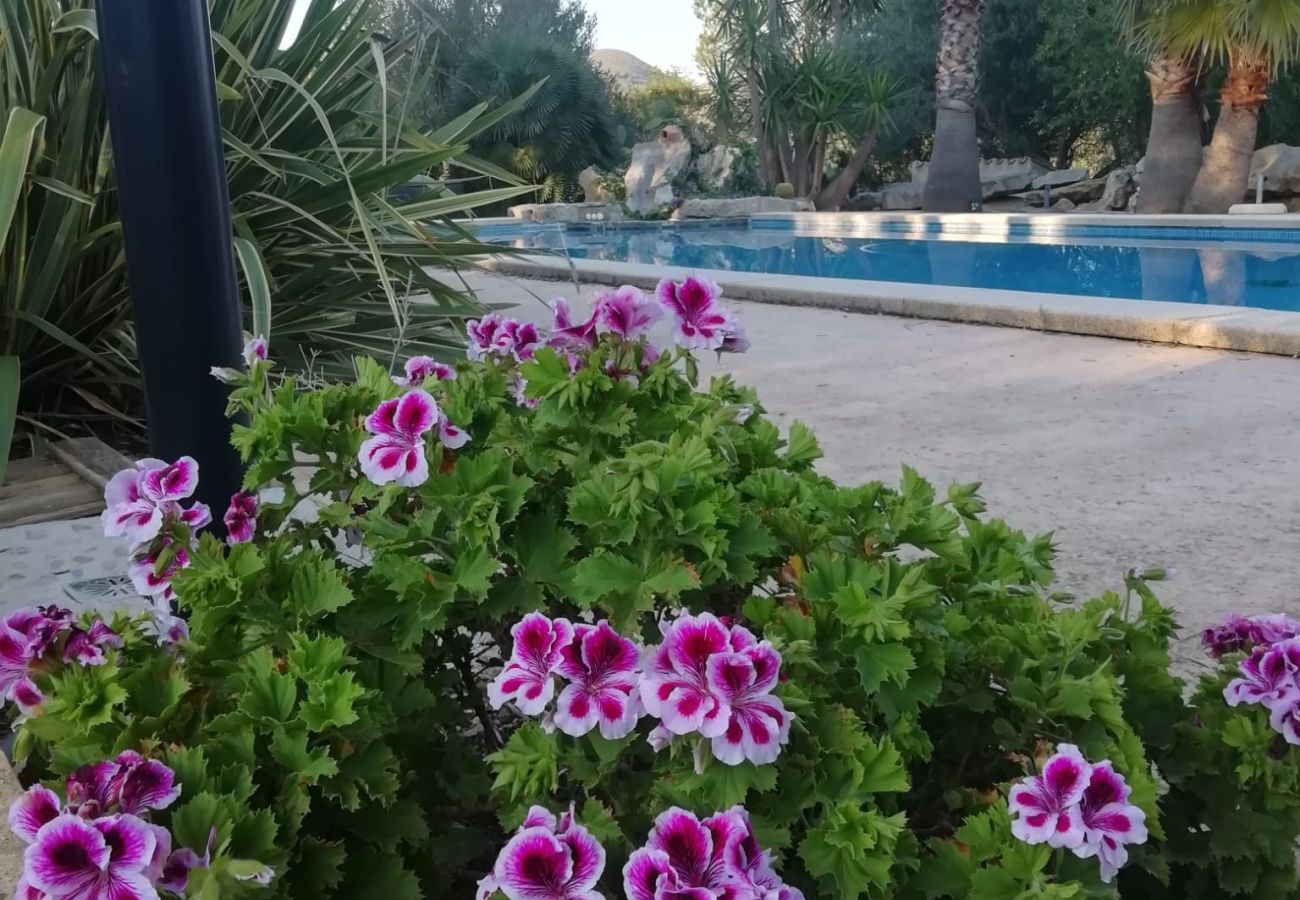 Villa in Arta - YourHouse Son Morey