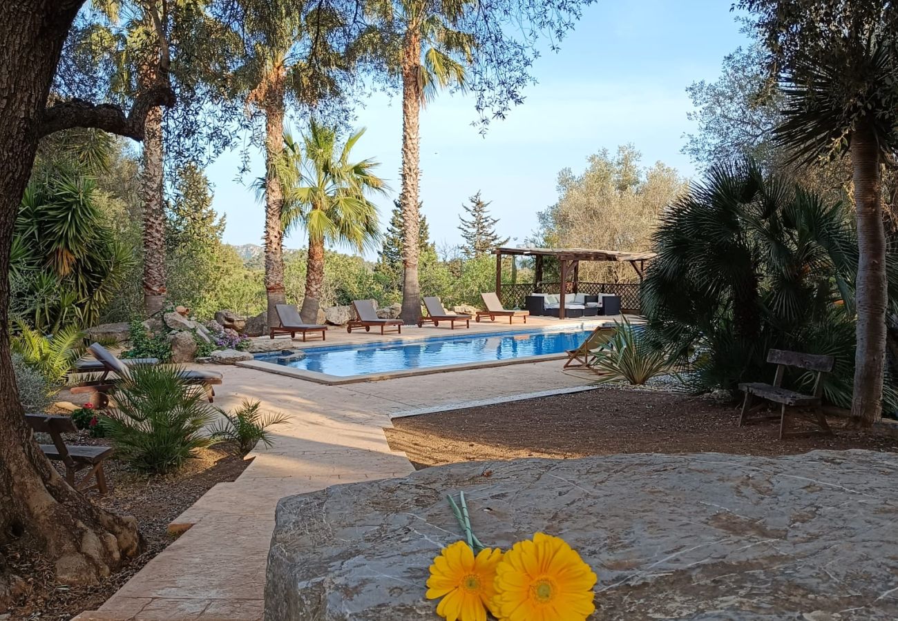 Villa in Arta - YourHouse Son Morey