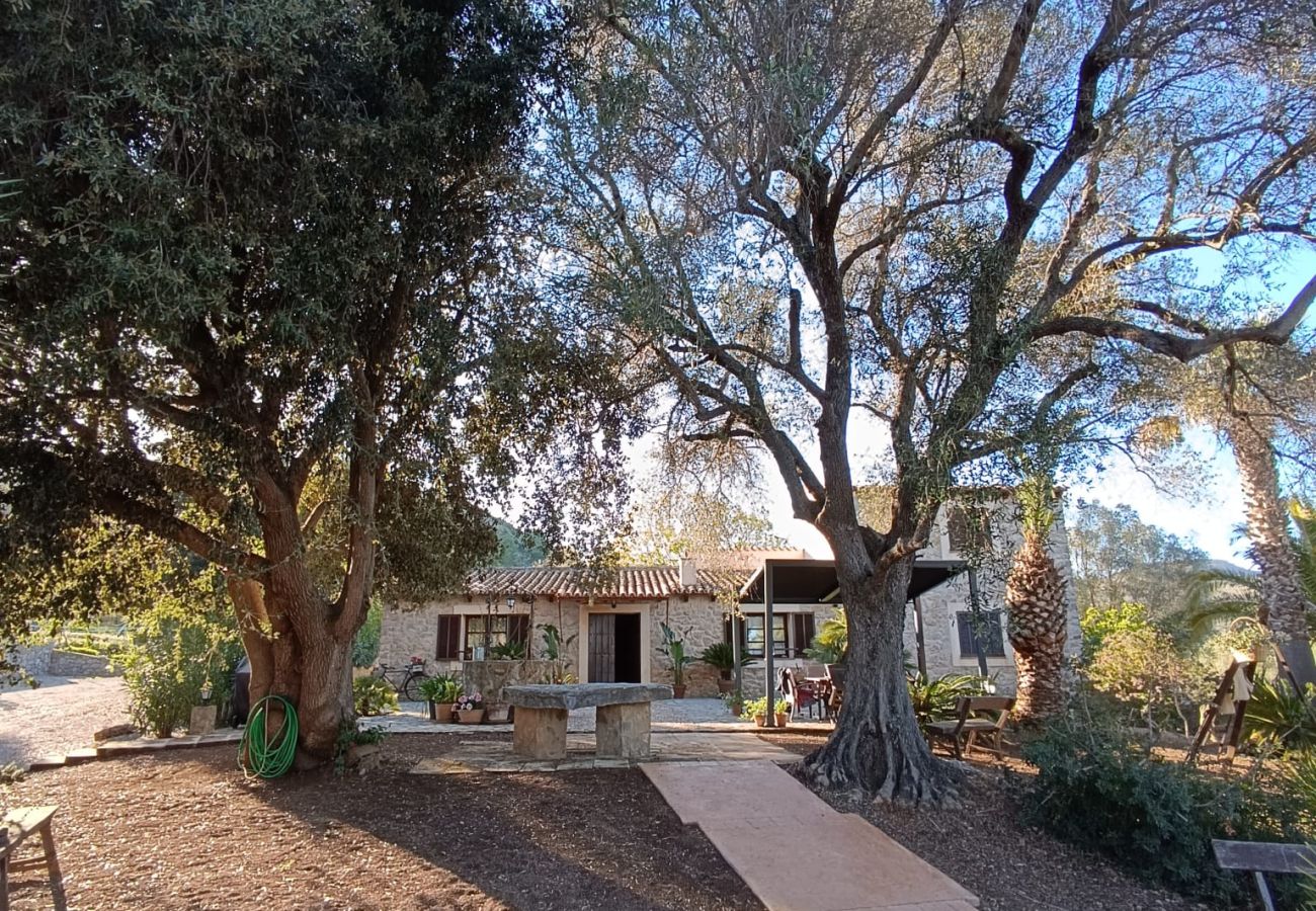 Villa in Arta - YourHouse Son Morey