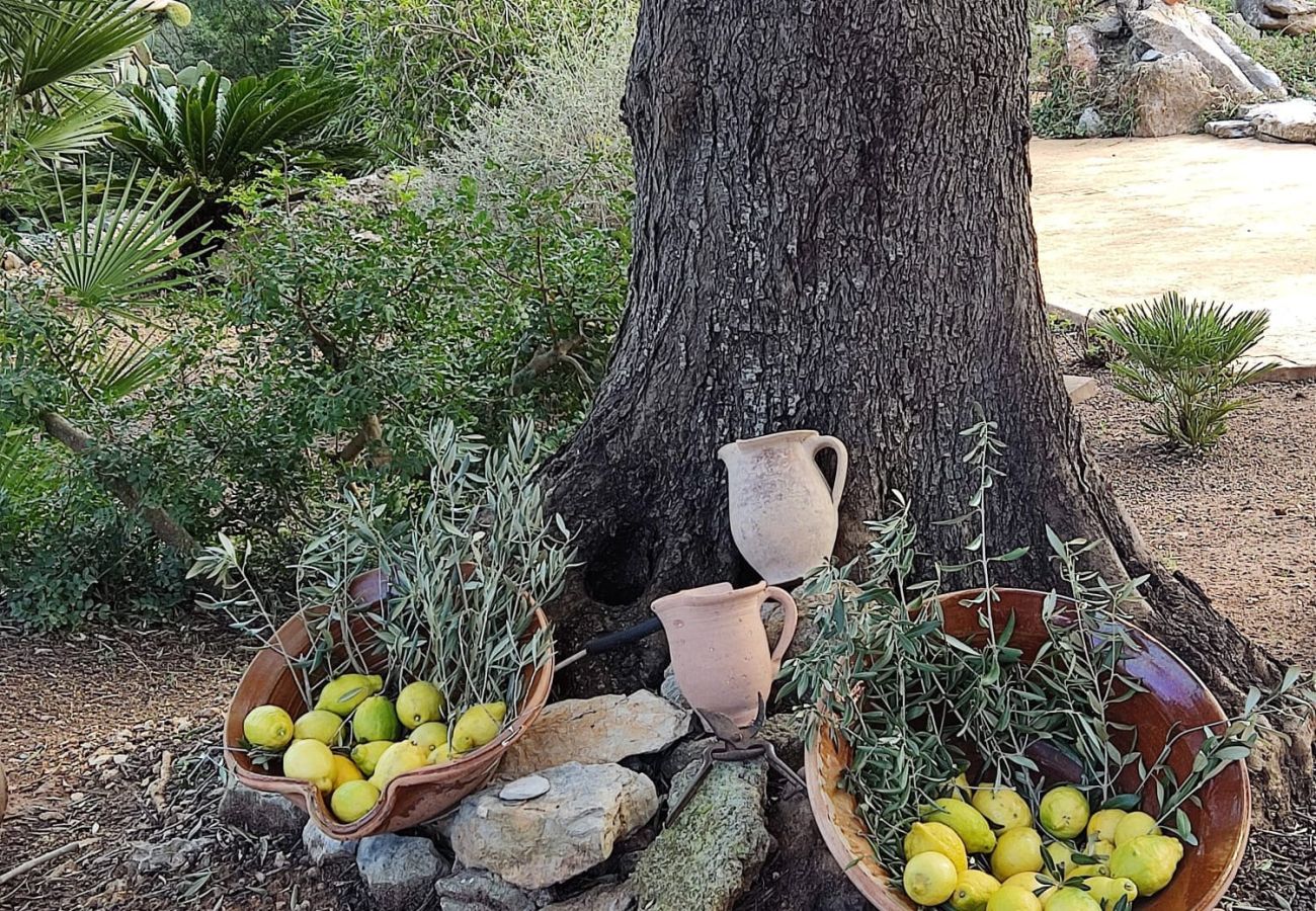 Villa in Arta - YourHouse Son Morey