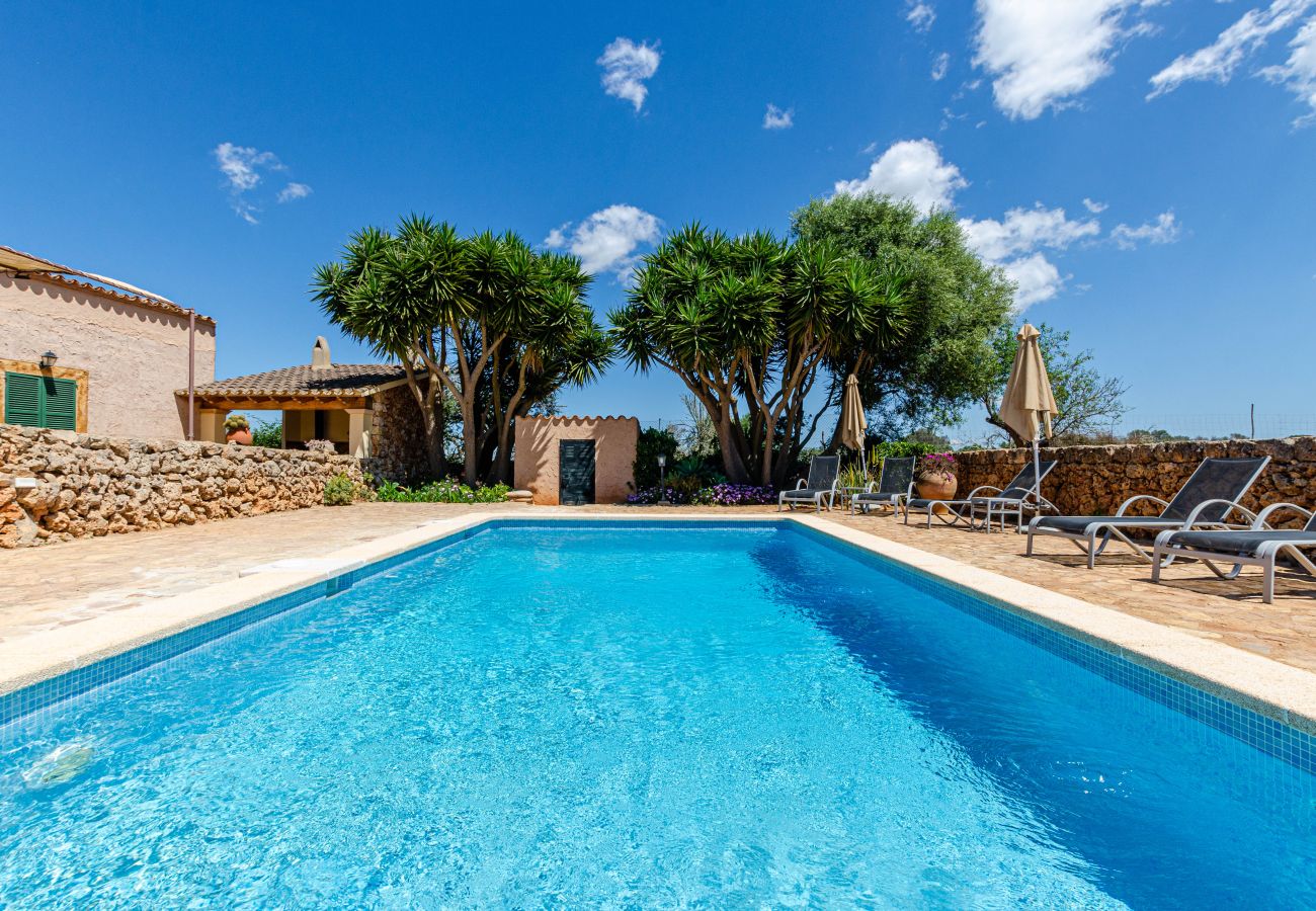 Studio in Lloret de Vistalegre - YourHouse Agroturismo Can Porreti La Soll 