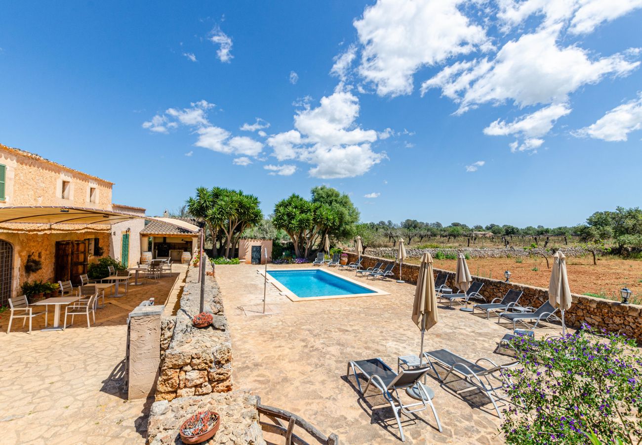 Studio in Lloret de Vistalegre - YourHouse Agroturismo Can Porreti La Soll 