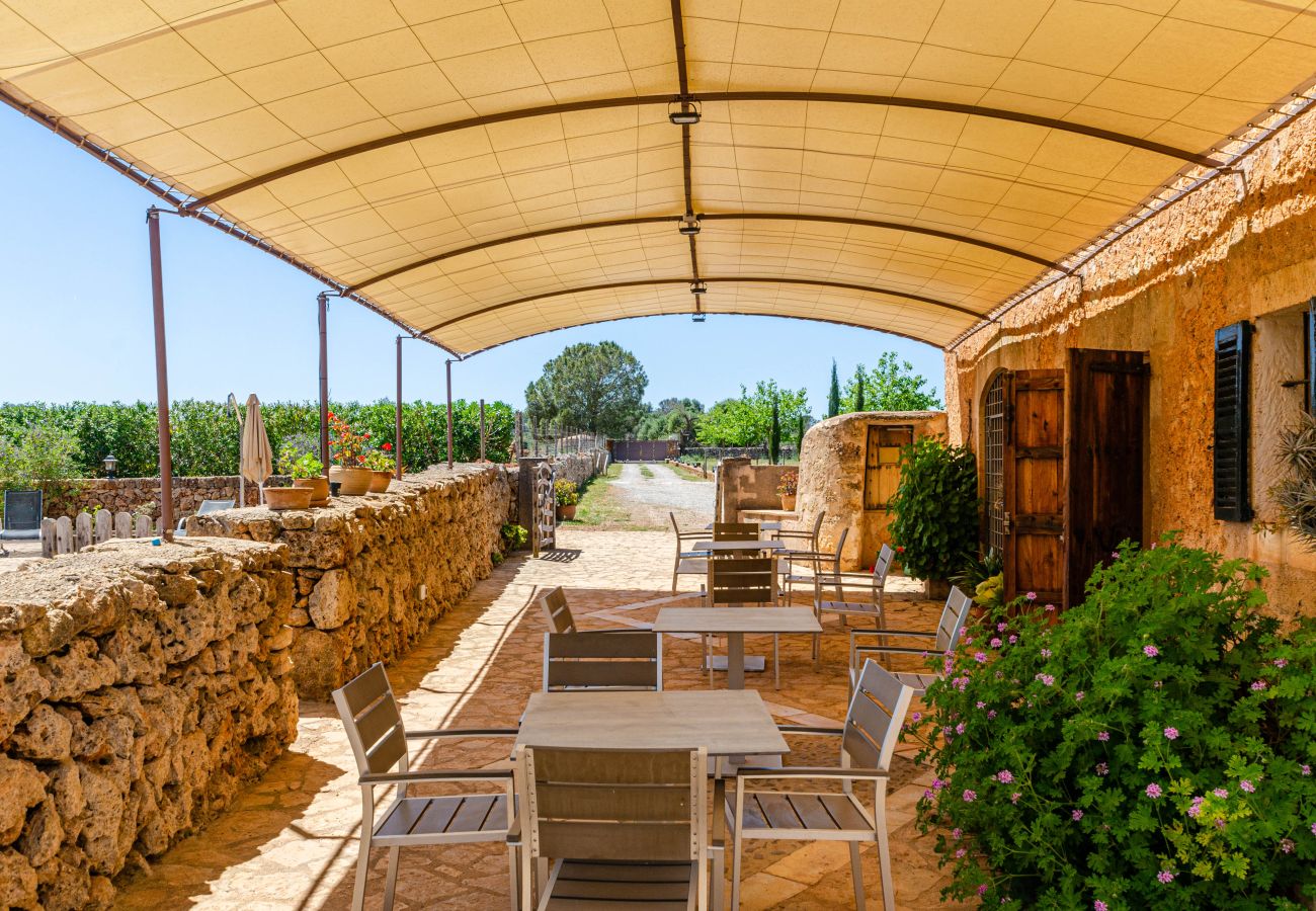Studio in Lloret de Vistalegre - YourHouse Agroturismo Can Porreti La Soll 