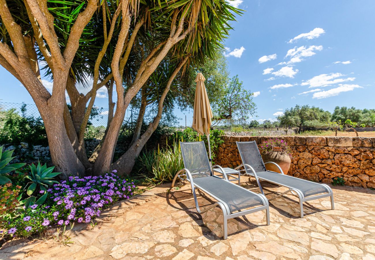 Studio in Lloret de Vistalegre - YourHouse Agroturismo Can Porreti La Soll 