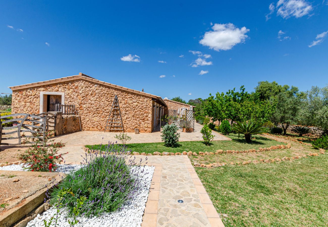 Studio in Lloret de Vistalegre - YourHouse Agroturismo Can Porreti La Soll 