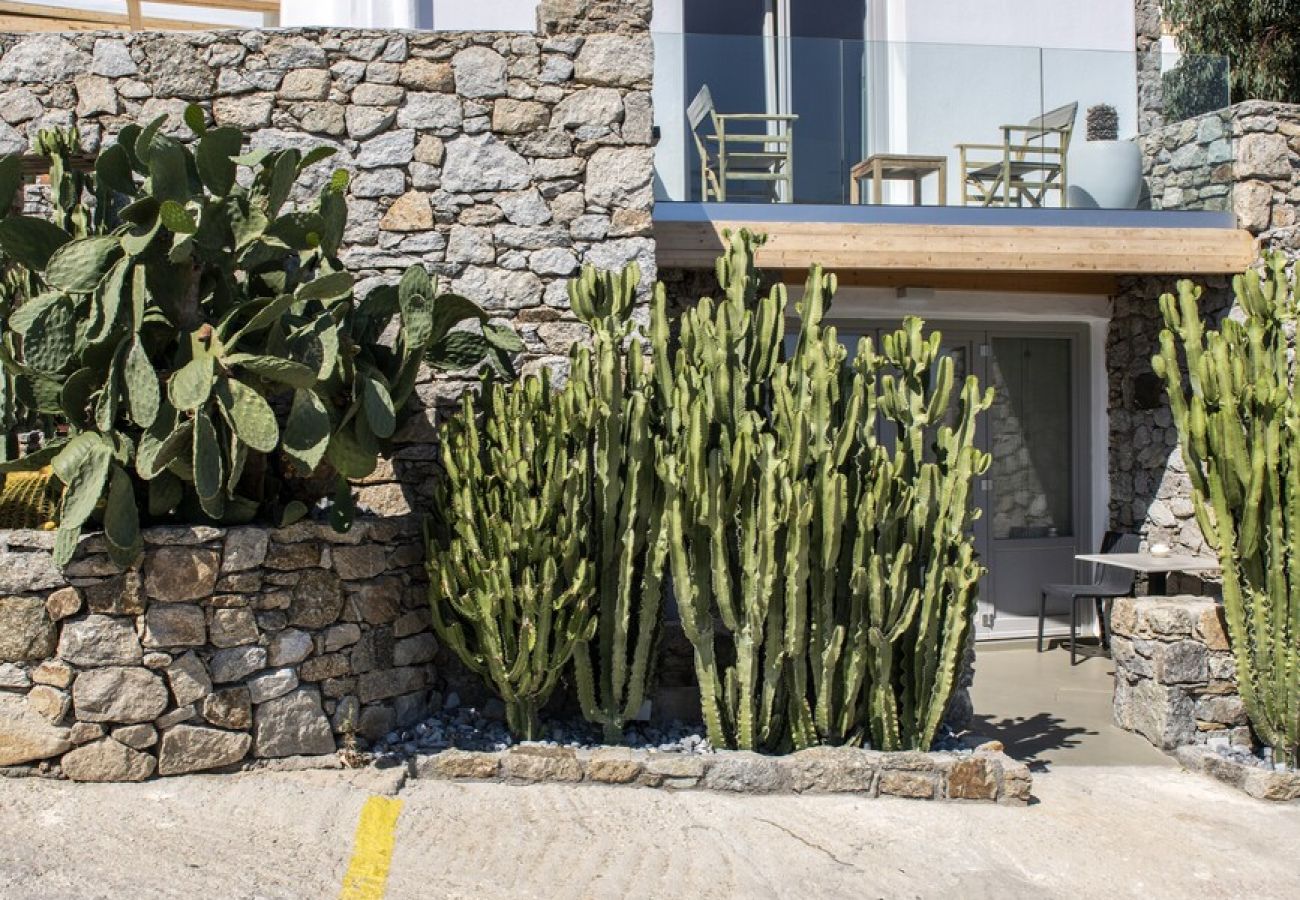 Villa in Mykonos - Agio Lazaros 1