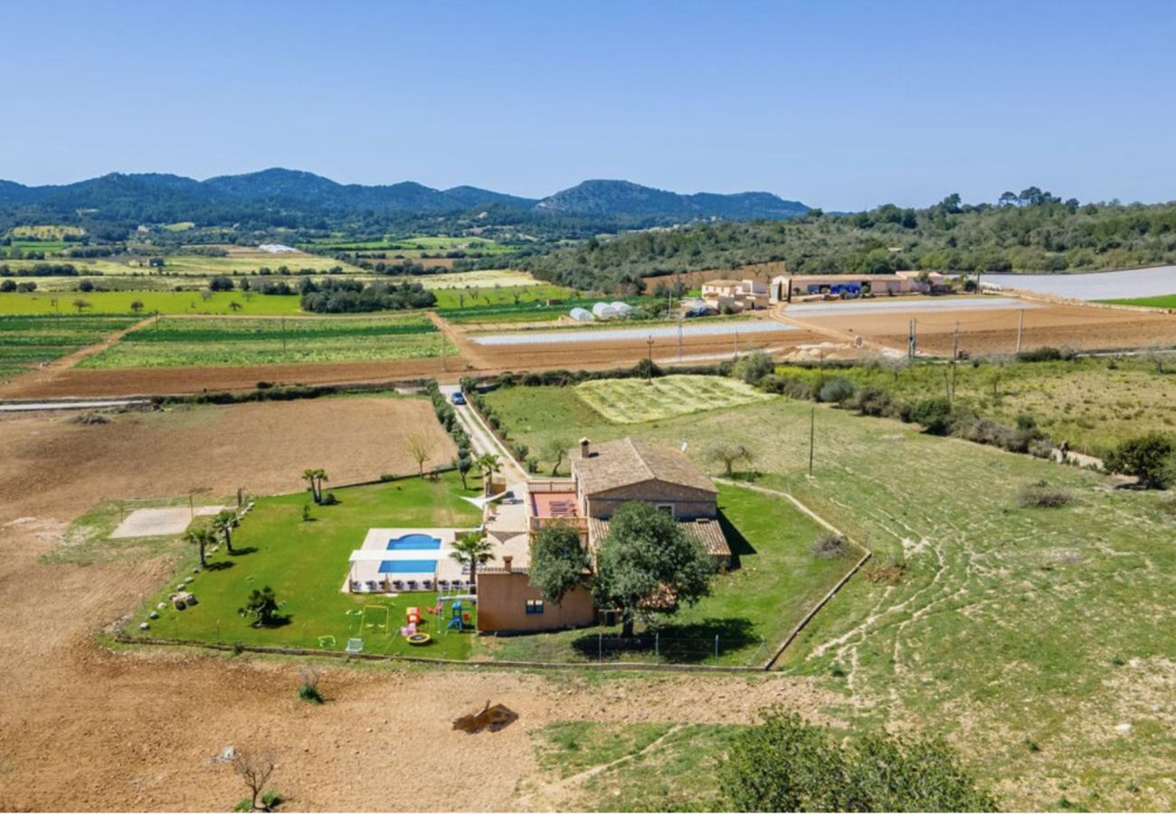 Villa in Manacor - Villa Lorenzo
