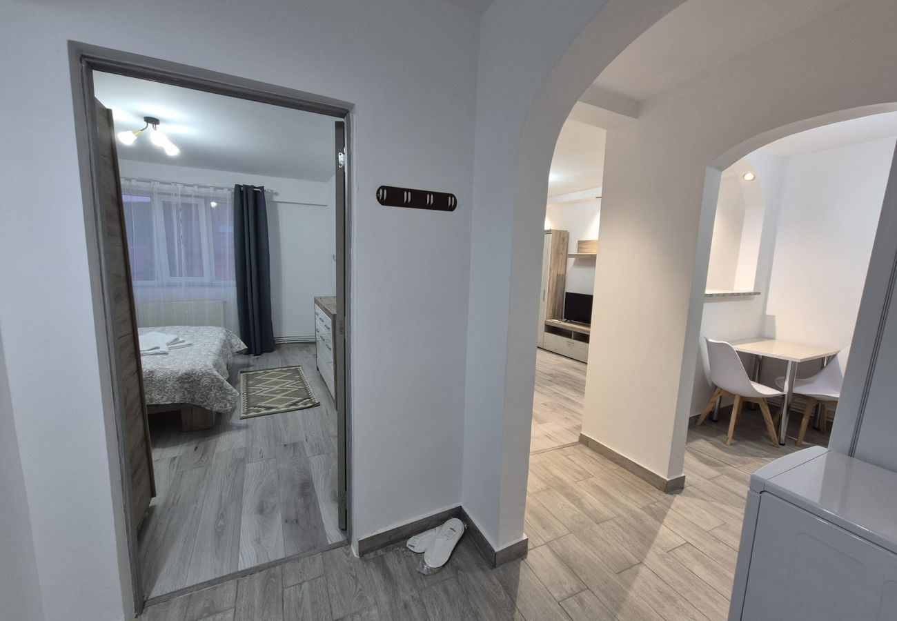 Apartment in Bistrita - TRB Apartment