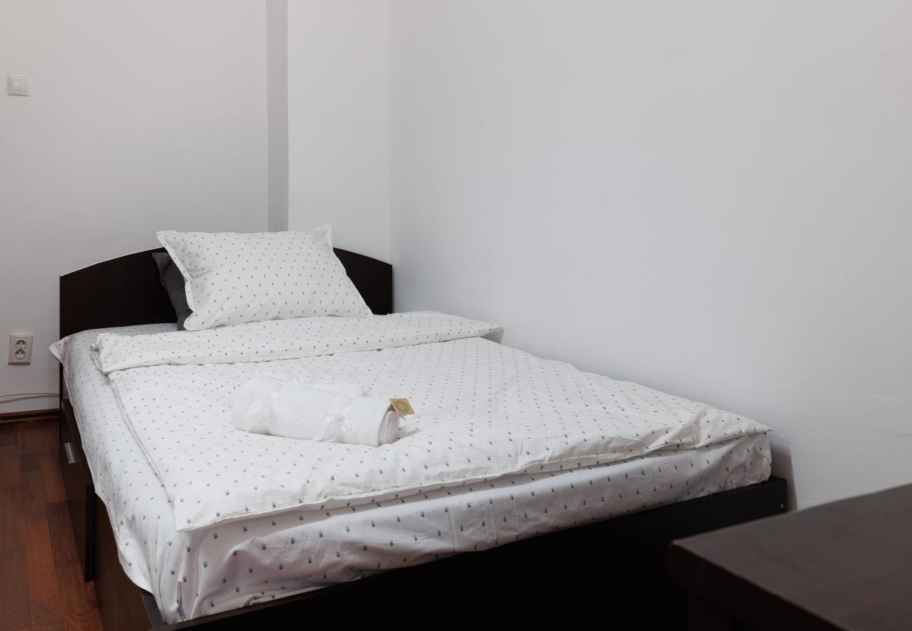 Apartment in Craiova - Central Corner Craiova