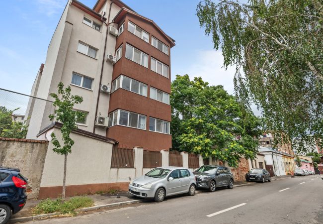 Studio in Bucharest - Comfy Studio near Gara de Nord | Sofa Bed & Kitchen Studio in Bucharest - Comfy Studio near Gara de Nord | Sofa Bed & Kitchen