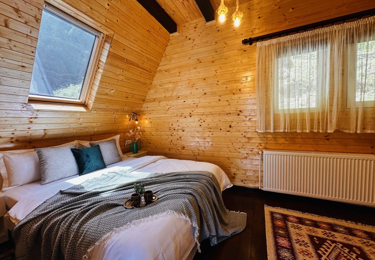Chalet in Colibita - Lake Retreat Colibita