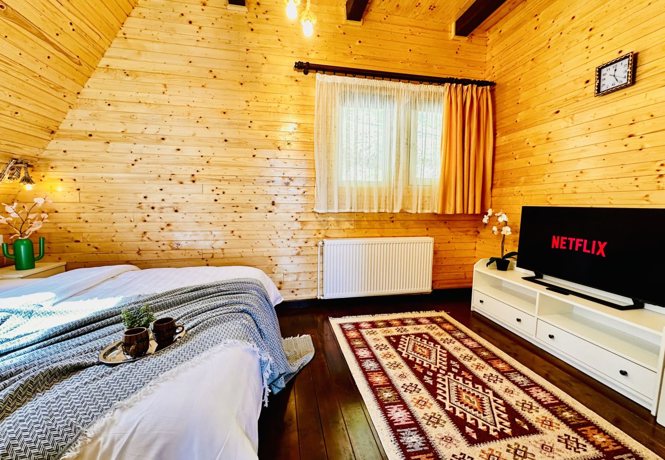 Chalet in Colibita - Lake Retreat Colibita