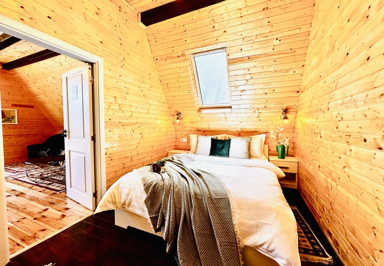 Chalet in Colibita - Lake Retreat Colibita