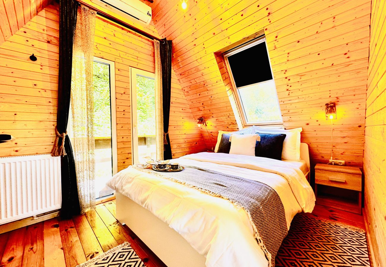 Chalet in Colibita - Lake Retreat Colibita
