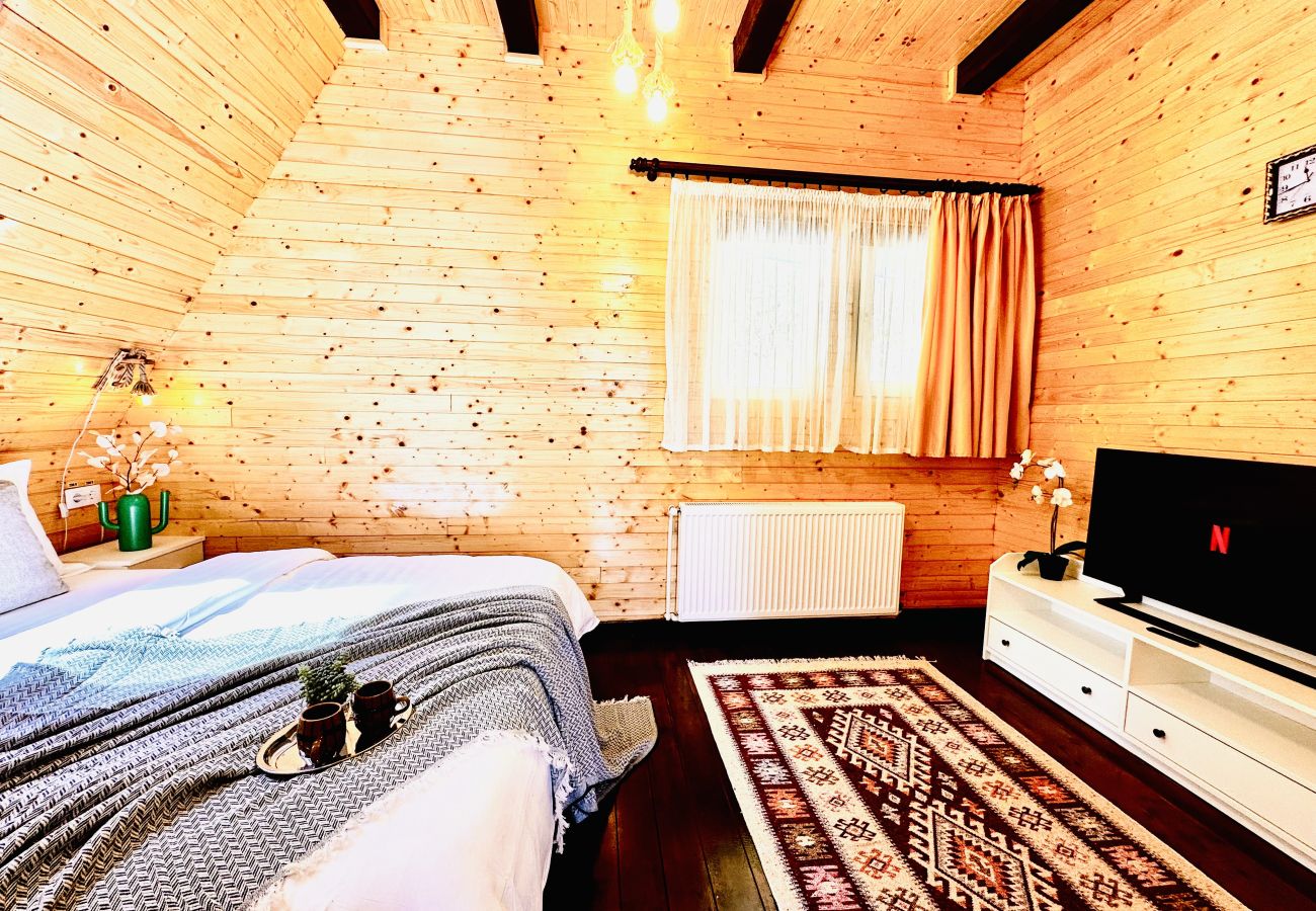 Chalet in Colibita - Lake Retreat Colibita